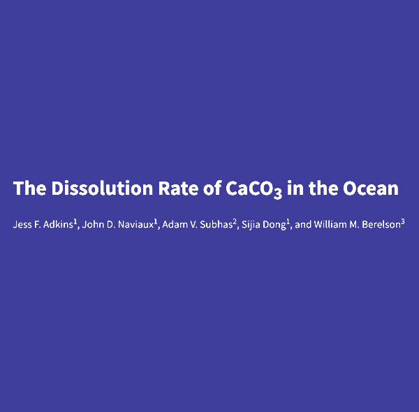 The Dissolution Rate of CaCO3 in the Ocean