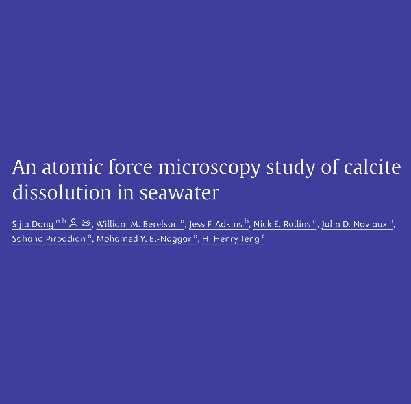 An atomic force microscopy study of calcite dissolution in seawater