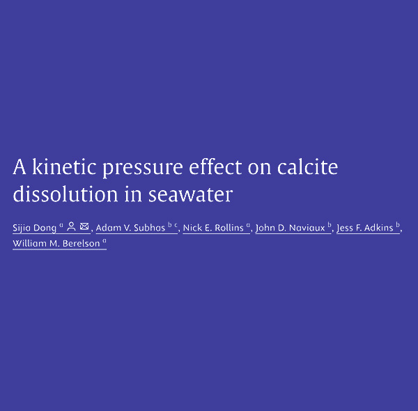 A kinetic pressure effect on calcite dissolution in seawater