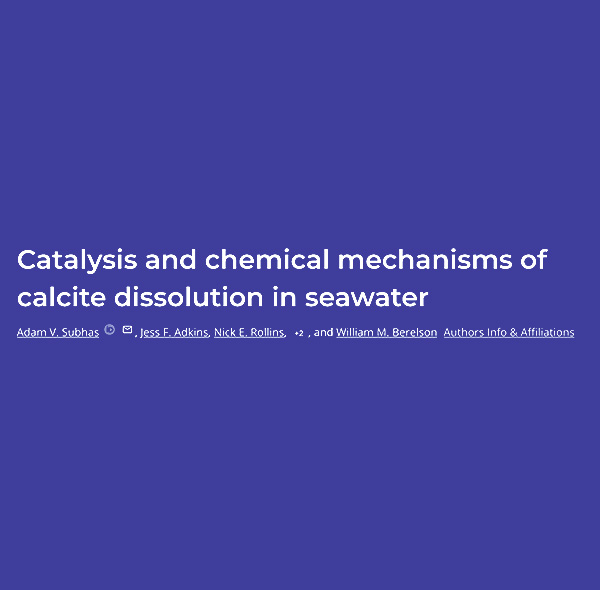 Catalysis and chemical mechanisms of calcite dissolution in seawater